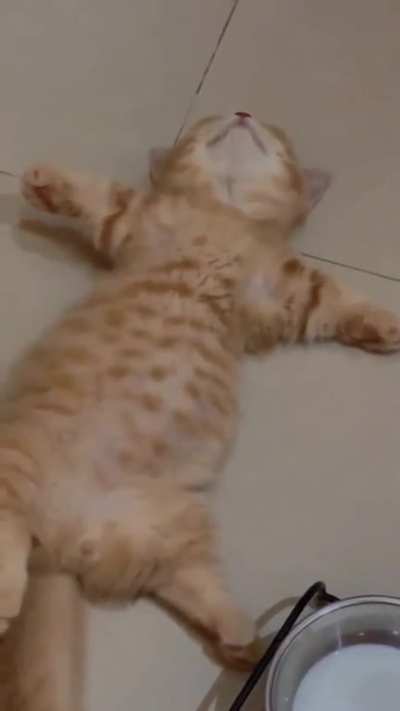 after food 🤗