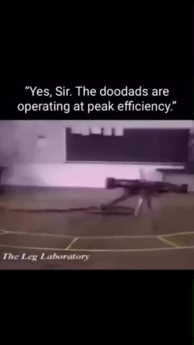 Doodoo-what