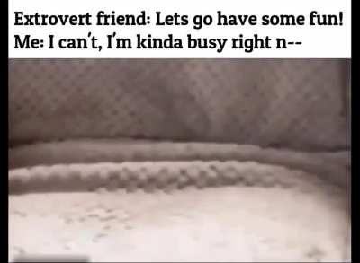 Too much for my introvert ass