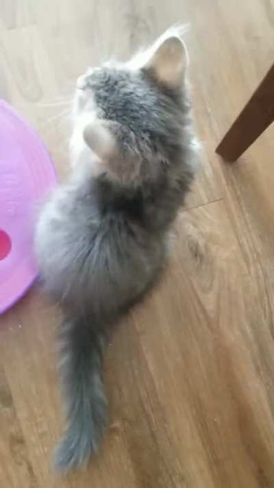 was told to post Samson here!!