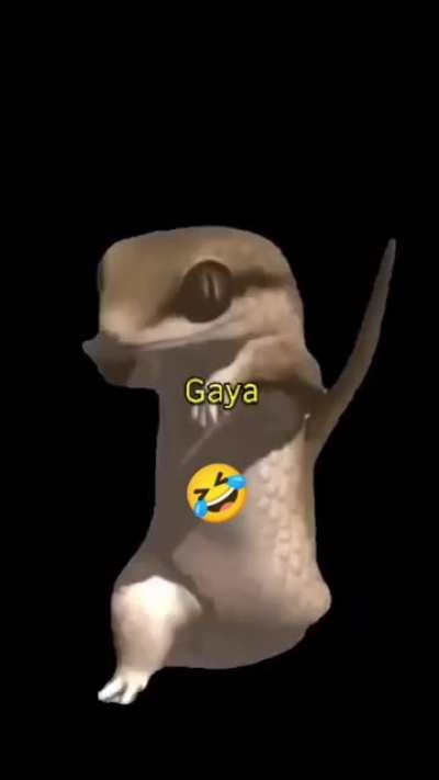 meme dekh bhai