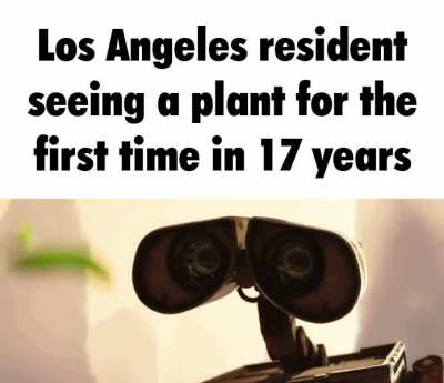 C*lifornia 🤮