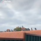 you spin me round