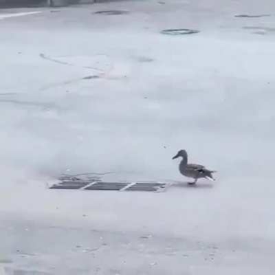 Poor mother