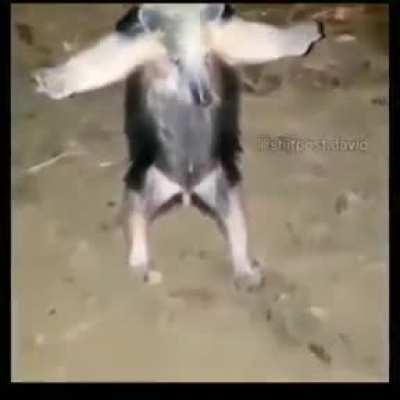 God
