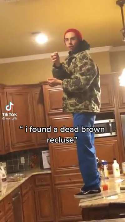 Casually picks up a brown recluse