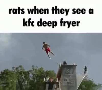 kfc rat yummy