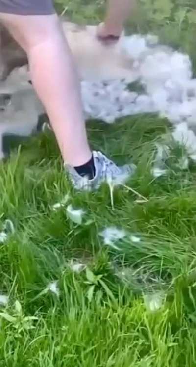 Потому что моё!