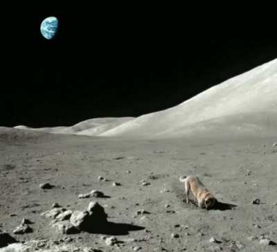 moon-song