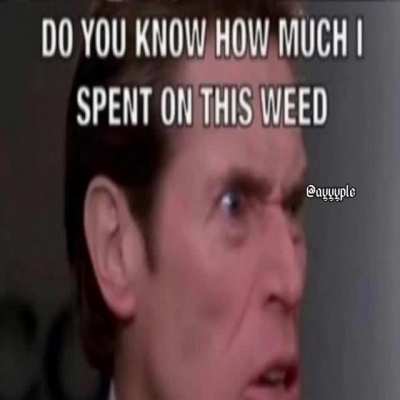 The boof
