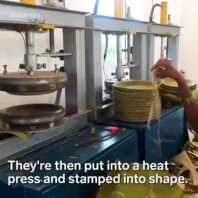 These plates are made from leaves - incredible women innovators of India