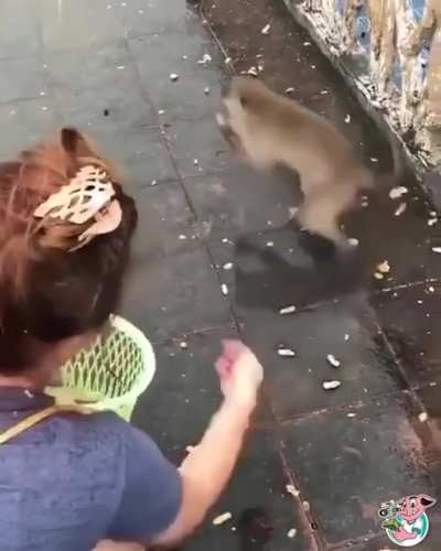 He ran and slipped!