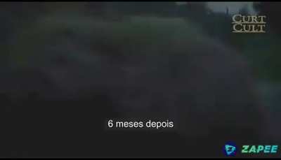 A lei do retono