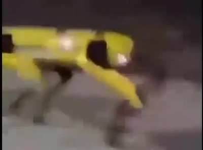 An interesting title