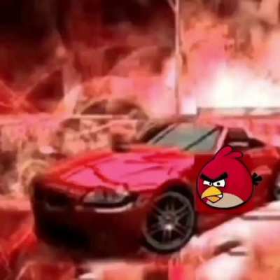 Angir birs