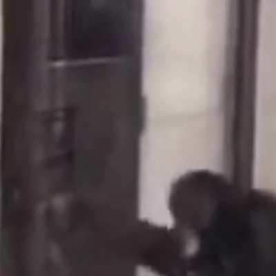 matrix monke meme I just made in just under 5 minutes