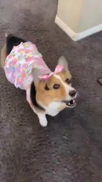 Best acting award goes too...