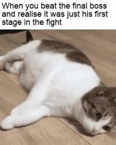 Here we go again