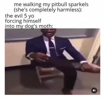 my poor dog