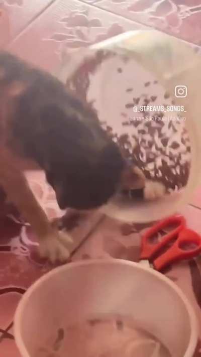 But...what the hell?!