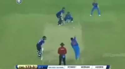 MSD's 