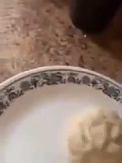 Poor dog