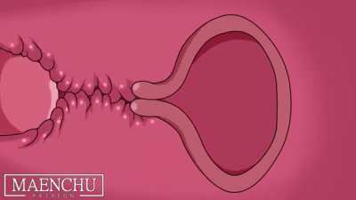 If she a snake, Im a snake...