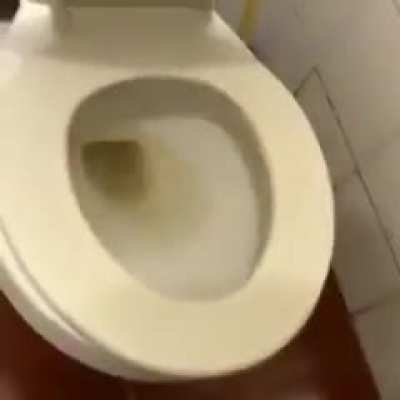 Rat be gone