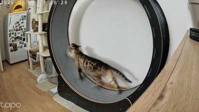 It’s day three since they got their wheel.