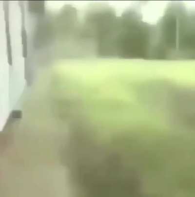 cursed creature
