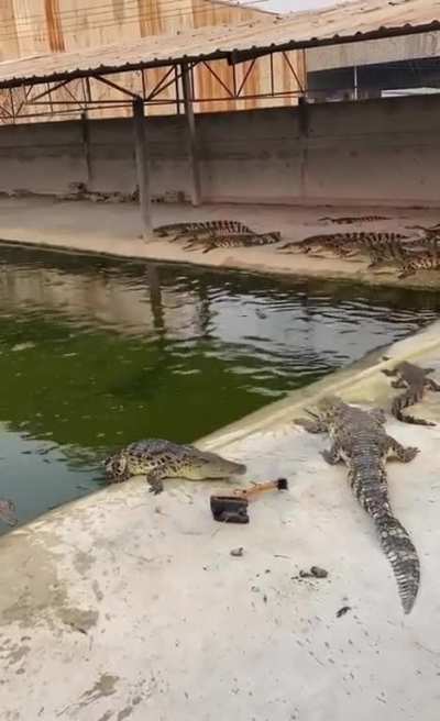 Danger