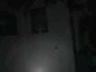 cursed_hand_entity