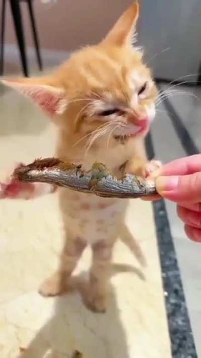 fish stealing thug