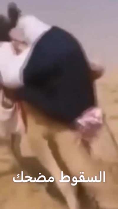 the camel back الجمل الخطيرمضحك🤣