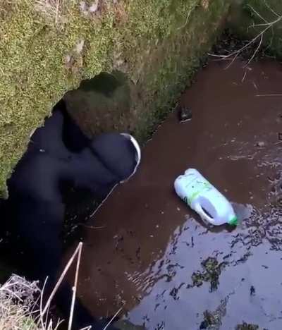 Feeding time