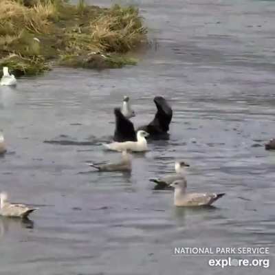 Bottoms up!