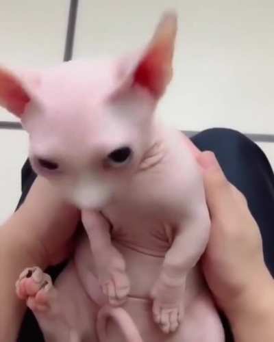 This cute little baby