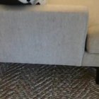Monster under the couch