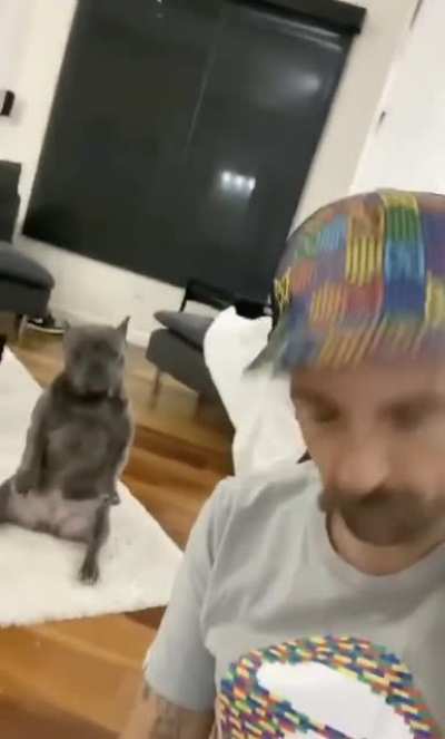 Me and my dog vibing to our Favourite Carti song!!!