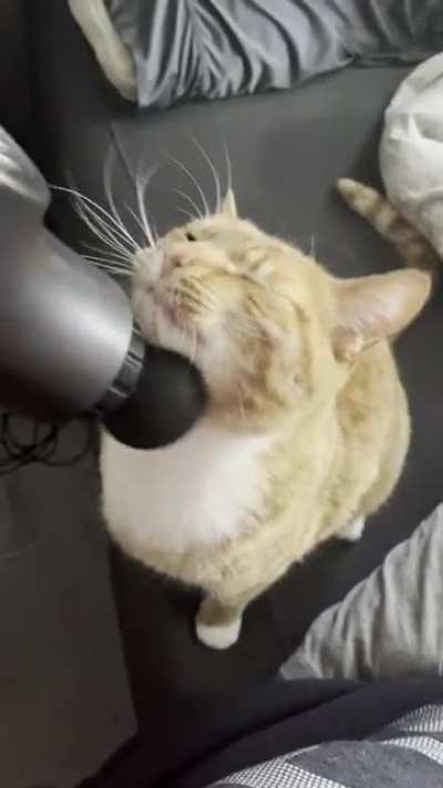 Yells when it’s not his turn with the back massager