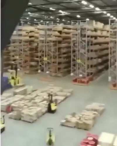 *amazon jungle*