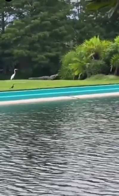 Sneak attack 