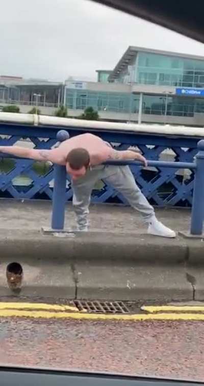 A wild spicehead spotted in Belfast