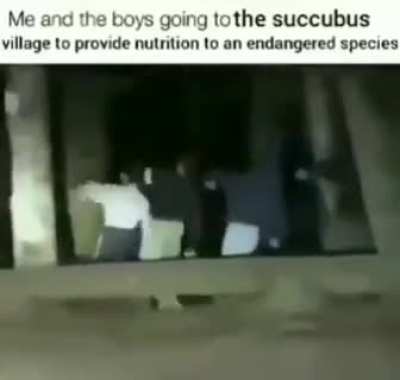 Succrulebus