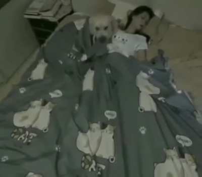 Tucked in tight
