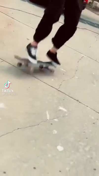 What a twist