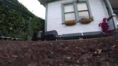 This machine plants seeds, pulls weeds and waters plants individually