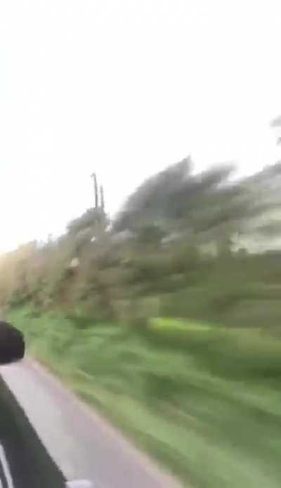 Best of British