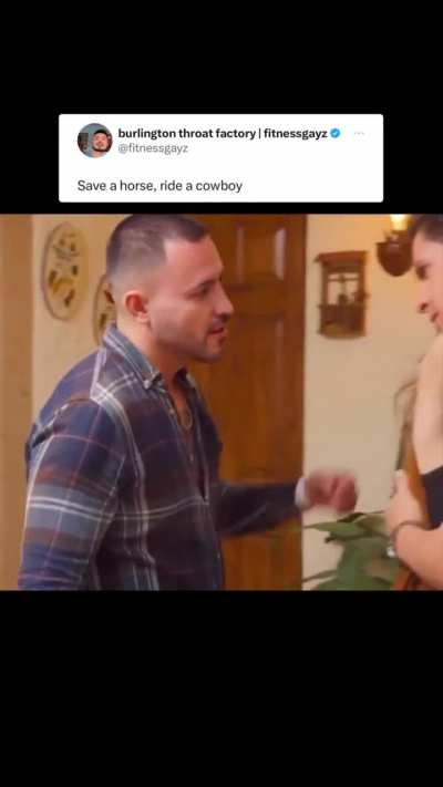 gay🐎irl