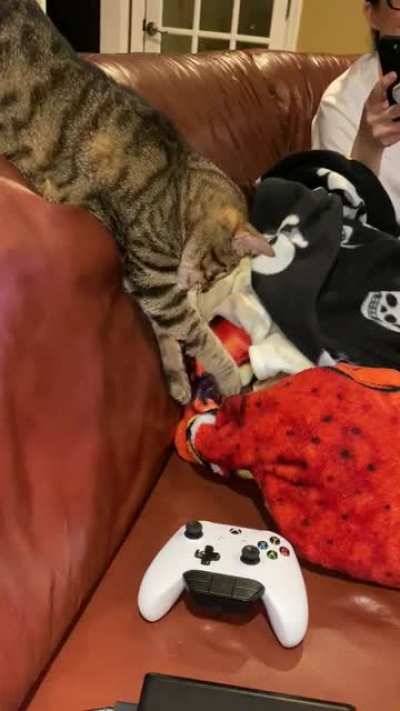 I just want to touch it